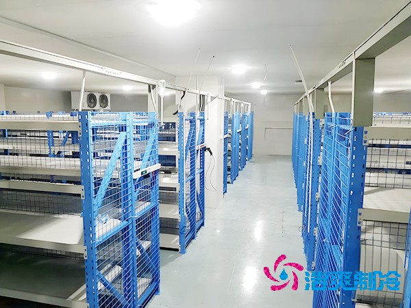 酒店菠萝蜜在线观看安装造价