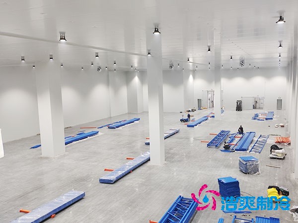 自建菠萝蜜在线观看的成本与维护费用概述