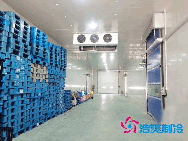 500平米海鲜菠萝蜜在线观看建造造价