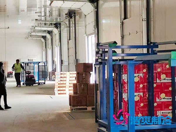 1000吨保鲜菠萝蜜在线观看造价