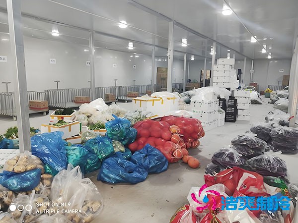 1000吨保鲜菠萝蜜在线观看造价