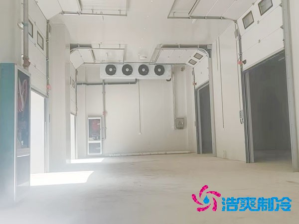 菠萝蜜在线观看造价