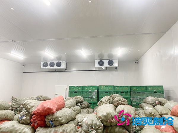 气调菠萝蜜在线观看造价