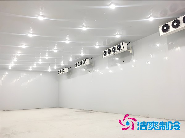 500平米蔬菜保鲜菠萝蜜在线观看造价