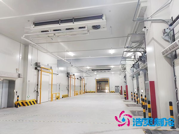 冷冻食品菠萝蜜在线观看造价费用