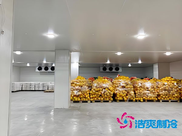 建设大型蔬菜保鲜库的造价及安装费用解析-菠萝蜜视频在线免费观看制冷