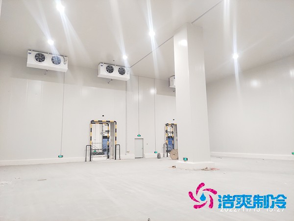 零下60度金枪鱼急冻库设计标准