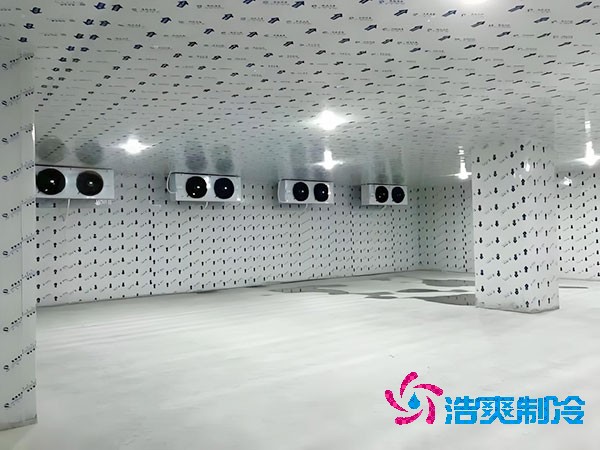 江苏地区100平米低温菠萝蜜在线观看造价预算解析-菠萝蜜视频在线免费观看制冷