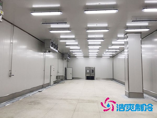 建造1000平方米大型海鲜菠萝蜜在线观看的造价问题及全面解析