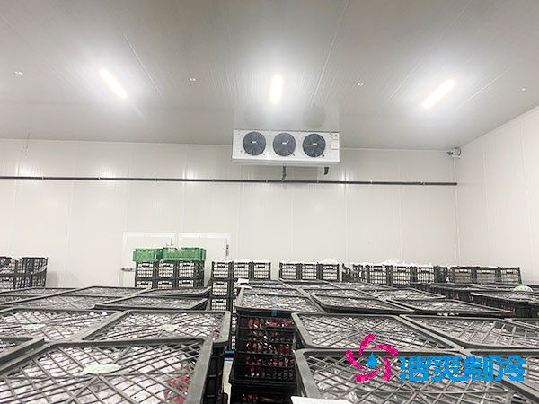 想知道保鲜菠萝蜜在线观看设计安装要花多少钱？-菠萝蜜视频在线免费观看制冷