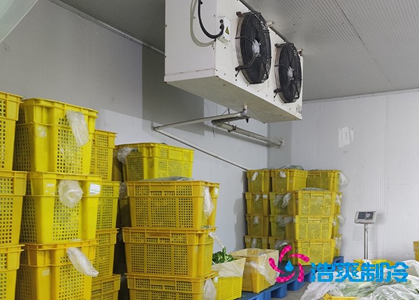 农副产品保鲜菠萝蜜在线观看造价预算