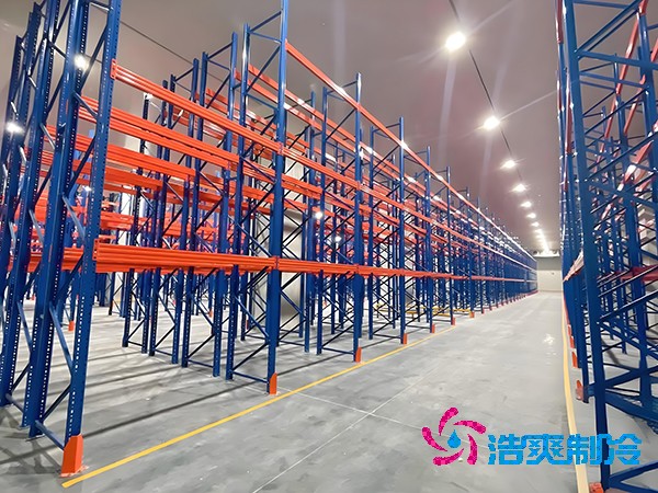 4000㎡冷链菠萝蜜在线观看造价