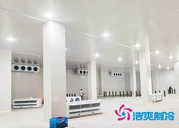 4000㎡冷链菠萝蜜在线观看造价