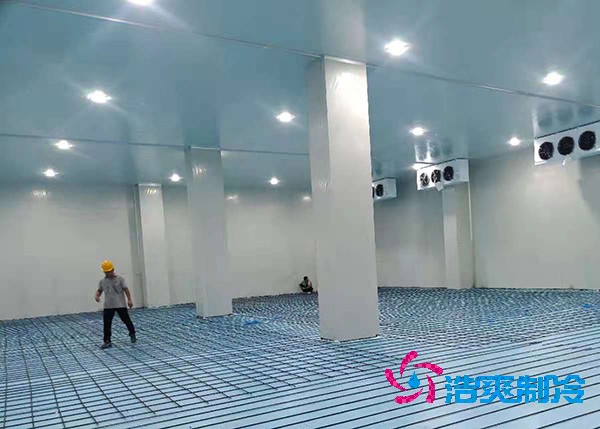 食品冷链低温菠萝蜜在线观看造价