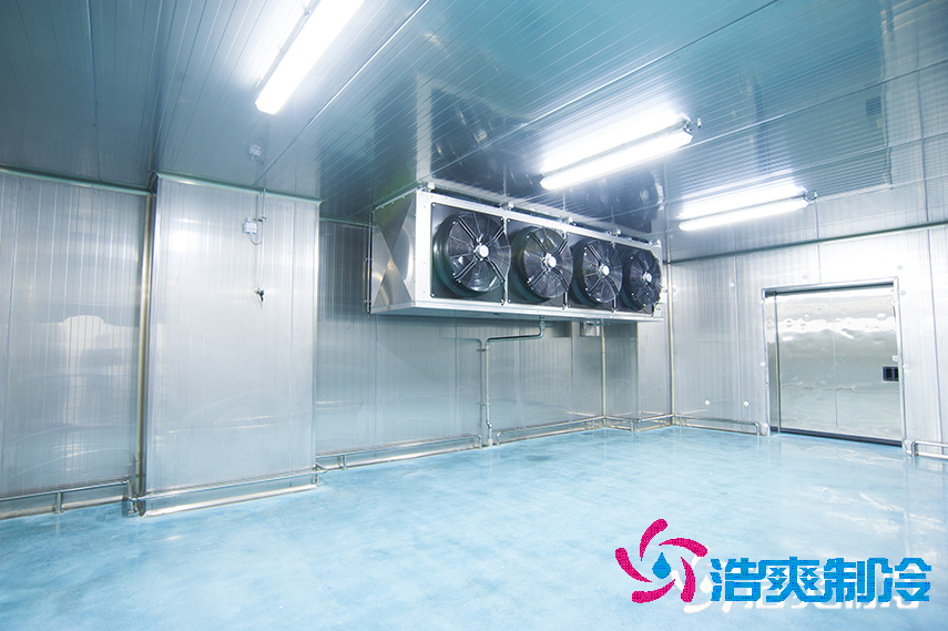 中央厨房菠萝蜜在线观看安装_菠萝蜜视频在线免费观看制冷