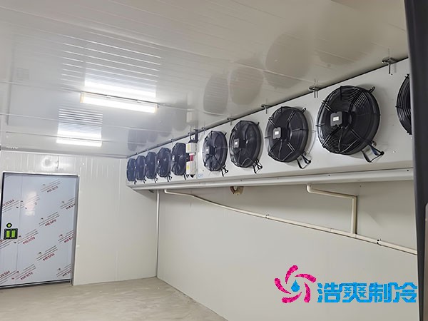 海鲜低温菠萝蜜在线观看安装造价