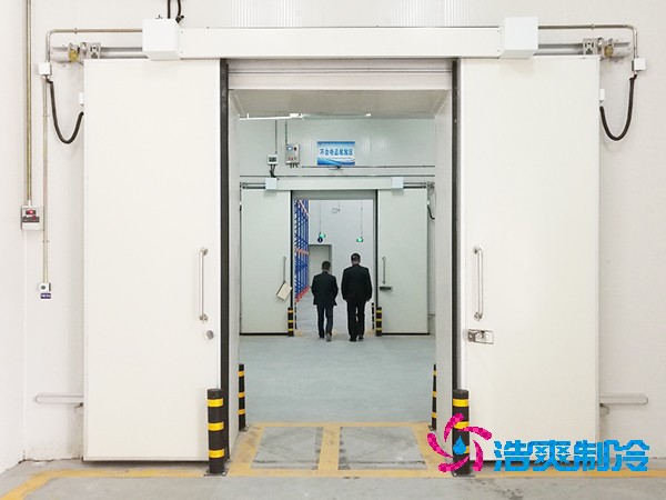 大型菠萝蜜在线观看建造价格