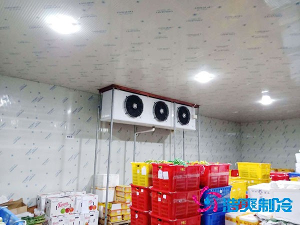 水果菠萝蜜在线观看造价