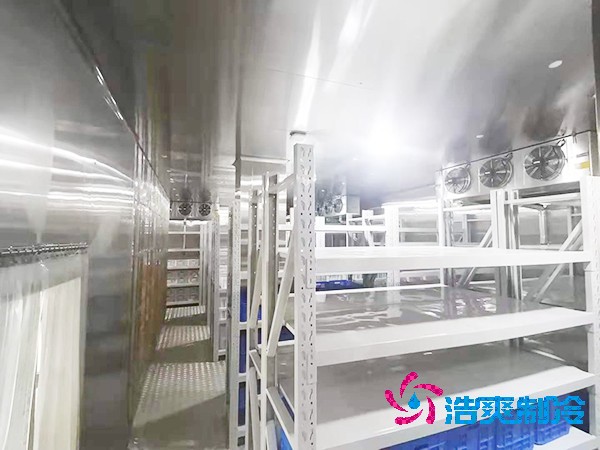 超低温菠萝蜜在线观看造价