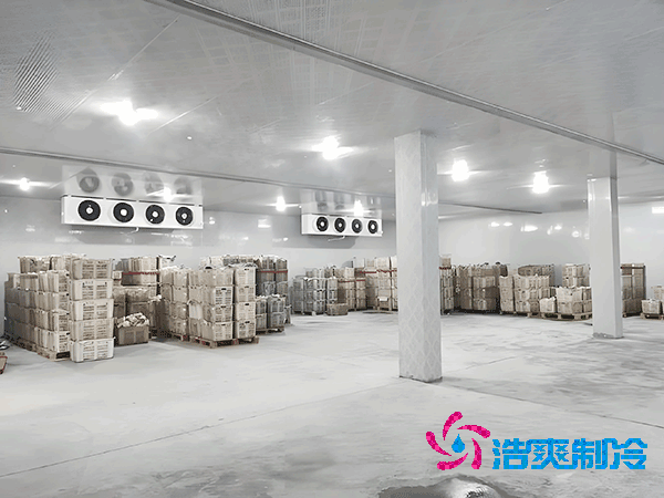 1000立方菠萝蜜在线观看造价预算及耗电量解析