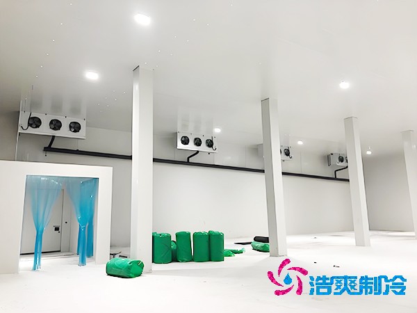 坚果菠萝蜜在线观看建设预算