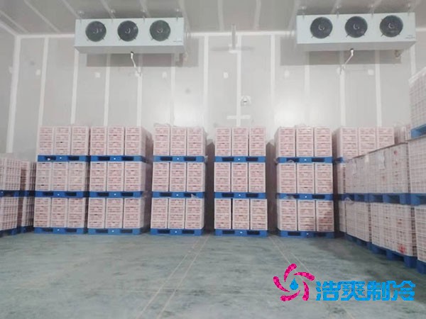 苹果保鲜菠萝蜜在线观看造价