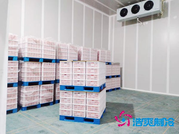 西瓜保鲜菠萝蜜在线观看建造价格