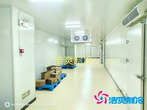 荔枝菠萝蜜在线观看安装价格多少钱一平方米？荔枝菠萝蜜在线观看可以放多久-菠萝蜜视频在线免费观看制冷