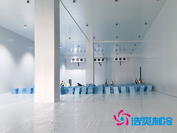 水果菠萝蜜在线观看/保鲜库建造价格