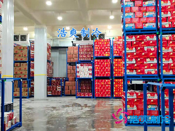 食品保鲜菠萝蜜在线观看