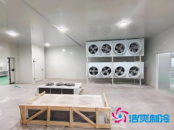 肉制品加工菠萝蜜在线观看