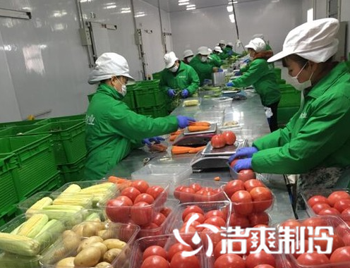 生鲜菠萝蜜在线观看建造_菠萝蜜视频在线免费观看制冷