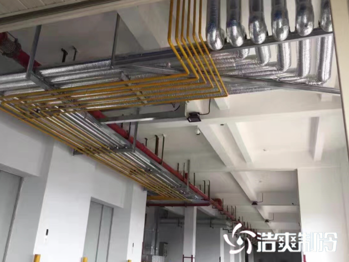 氟利昂系统_菠萝蜜视频在线免费观看制冷