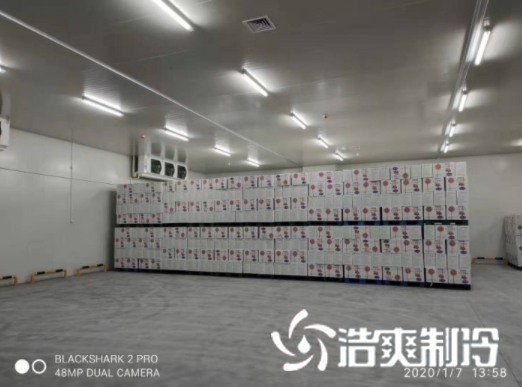 安徽洽洽49500m³食品加工菠萝蜜在线观看建造