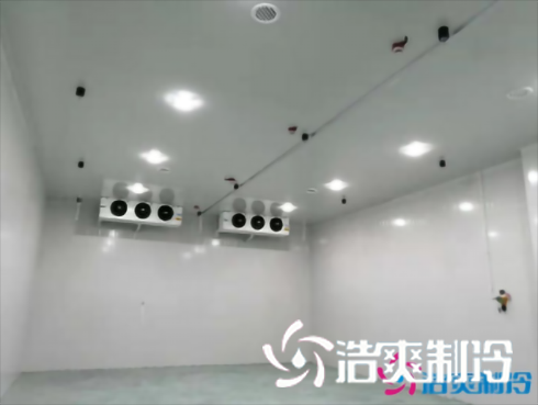 上海巴洛美巧克力食品菠萝蜜在线观看建造设计