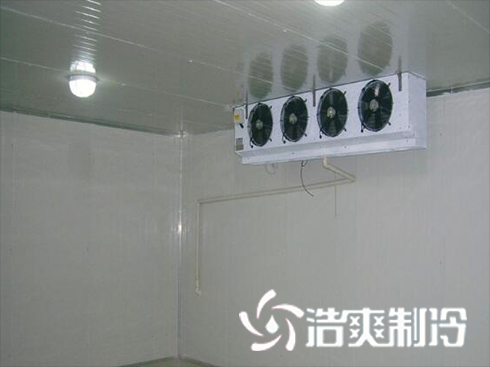 烘干菠萝蜜在线观看建造-菠萝蜜视频在线免费观看制冷