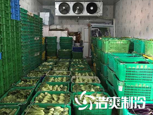 生鲜食品物流菠萝蜜在线观看