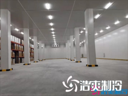 小型食品菠萝蜜在线观看建造