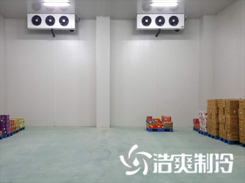 海鲜菠萝蜜在线观看建造价格