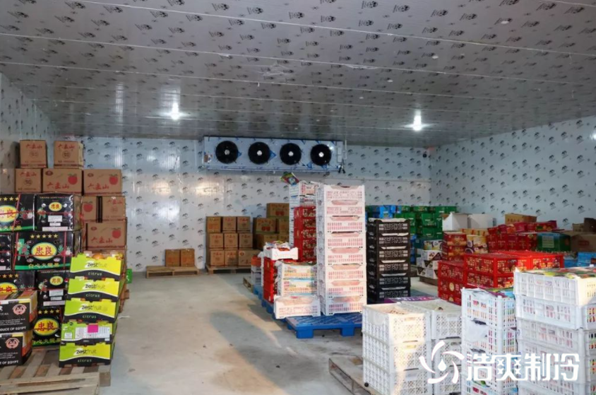 蛋品菠萝蜜在线观看建造价格