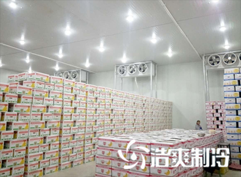 食品菠萝蜜在线观看建造价格