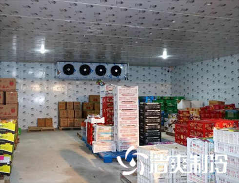 食品菠萝蜜在线观看造价预算