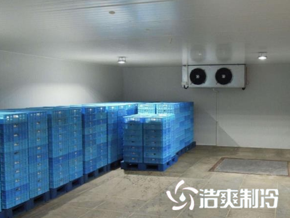 餐饮菠萝蜜在线观看建设