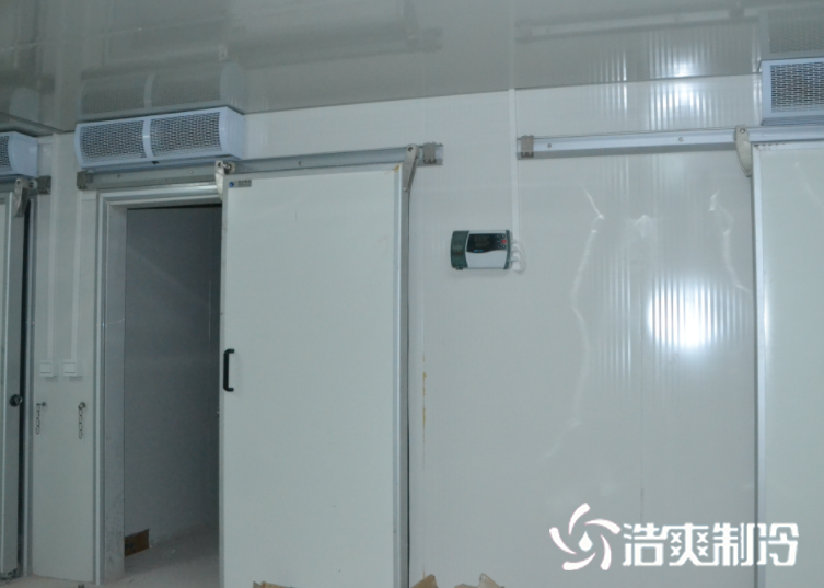 冷冻菠萝蜜在线观看建造_菠萝蜜视频在线免费观看制冷