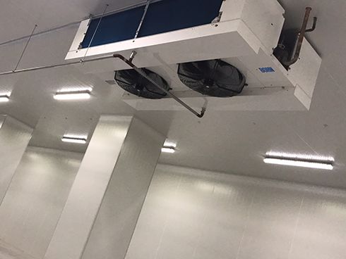 河北周黑鸭新工厂项目1#车间菠萝蜜在线观看建造工程案例