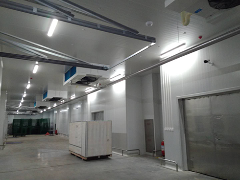 河北周黑鸭新工厂项目1#车间菠萝蜜在线观看建造工程案例