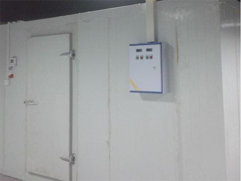 浙江绍兴养乐多乳制品菠萝蜜在线观看建造安装